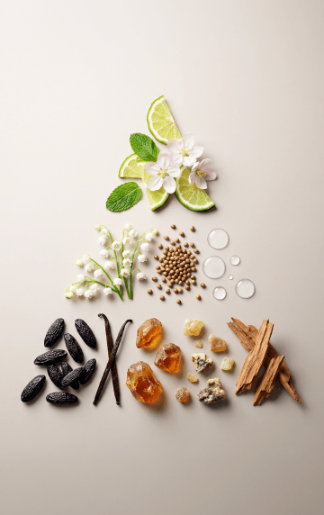 discover by Note fragrance category
