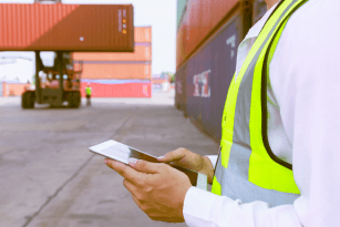 Delivery & Launch Support